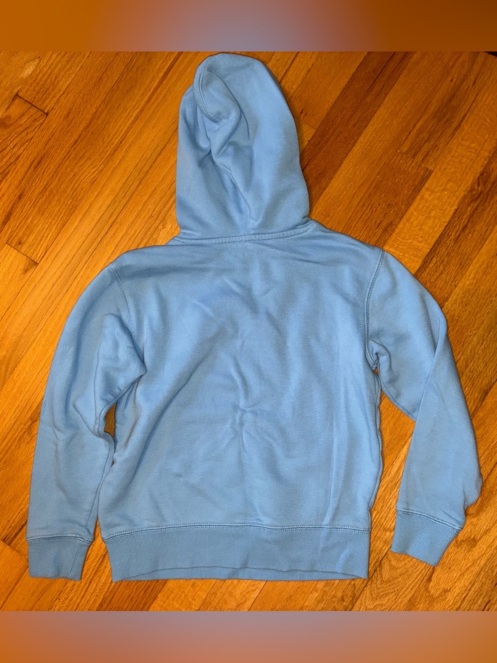 Champion Kids Sky Blue Hooded Pullover Sweatshirt - Picture 2 of 3